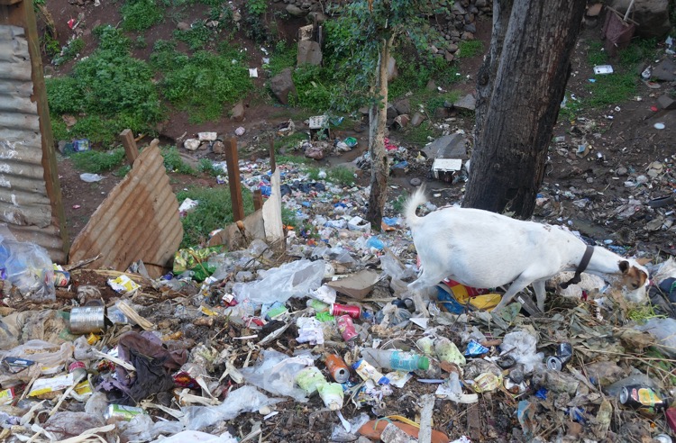 Mayotte, déchets,