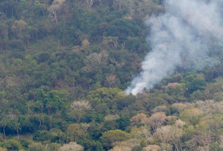 COP 16, Colombie, Naturaliste, Mayotte, TAAF, Glorieuses, RNN