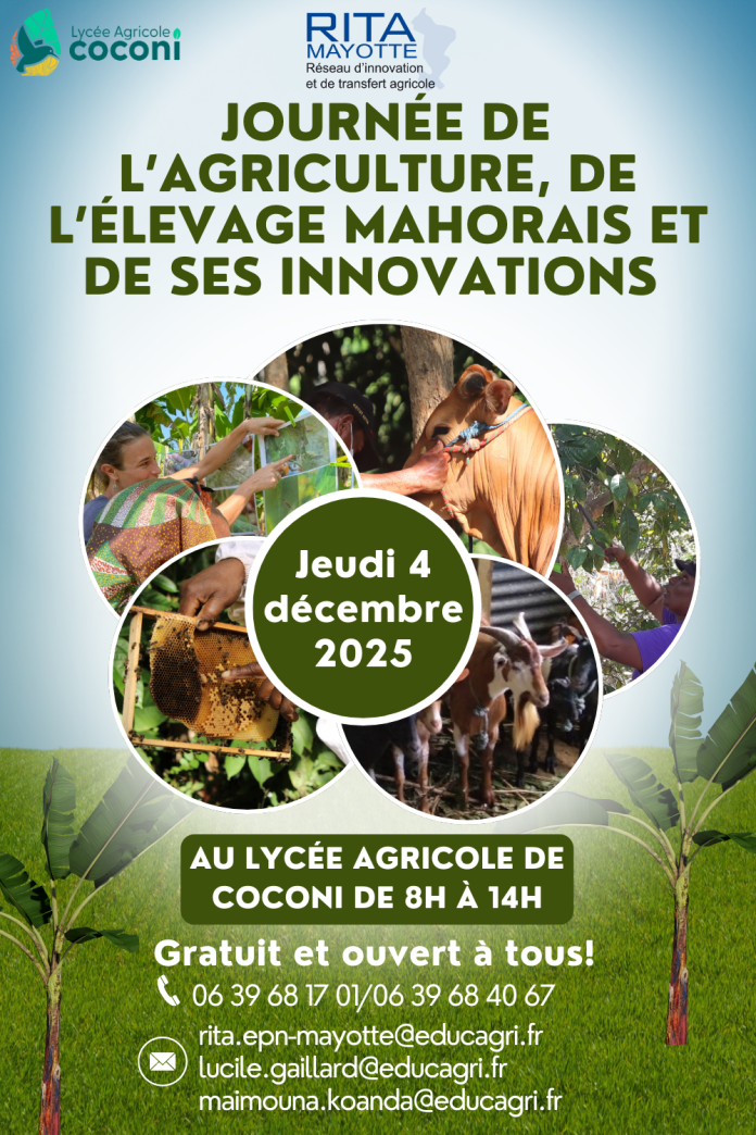 RITA, agriculture, élevage, Coconi, Mayotte