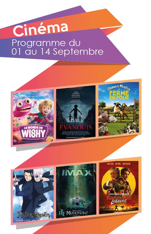 Cinéma, pôle culturel, Chirongui, programmation