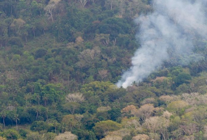 COP 16, Colombie, Naturaliste, Mayotte, TAAF, Glorieuses, RNN